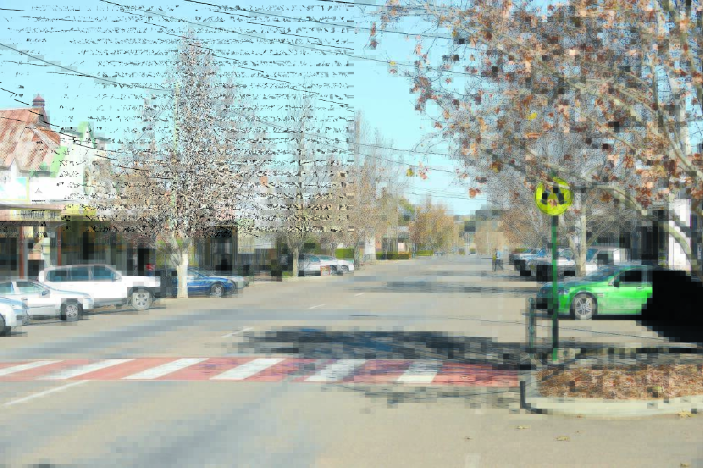 SUSPICIOUS: Some of Barraba’s much-loved London plane trees along the town’s main street.