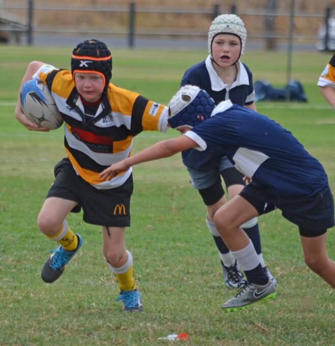 Tamworth tri-colours’ Jack Toole puts a big fend on this TAS defender at the National Primary Games. Photo: Chris Bath 090416CBA01