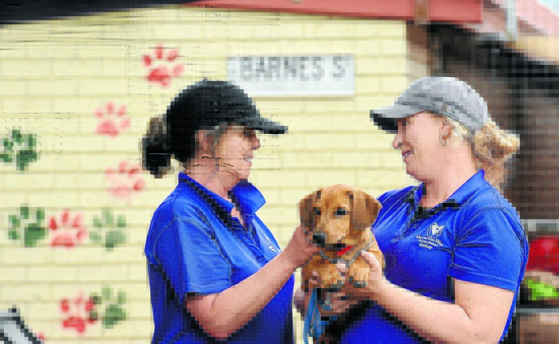 NEW HOME: Kate Davies and Amber Johnston with Arnie at Heaven Can Wait’s new kennels. 290116GGB06
