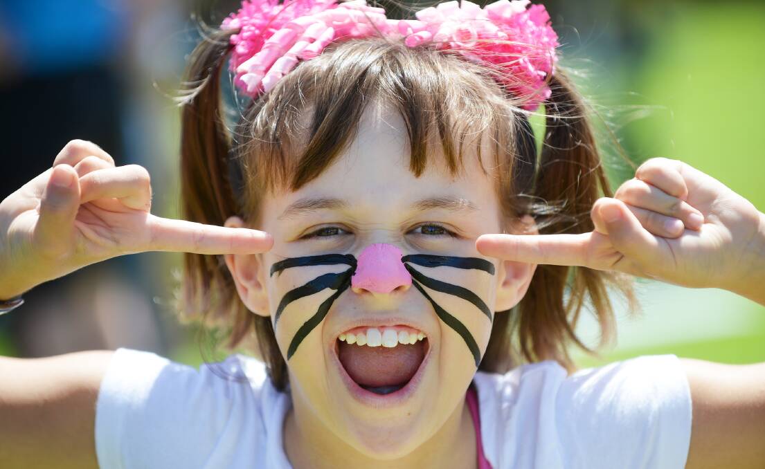 PURRFECT: Sophie-Rose Markham-Fisher had her face painted as a cat at the St Joseph’s School Christmas Fair. Photo: Barry Smith 291115BSD08