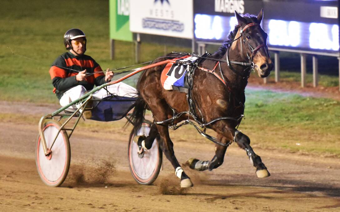 Chris Shepherdson and Signory Shannon cruise to an effortless track-record win in last night’s Psarakis Accounting Marathon Final at Tamworth 
Paceway. Photo: Geoff O’Neill 300715GOE01