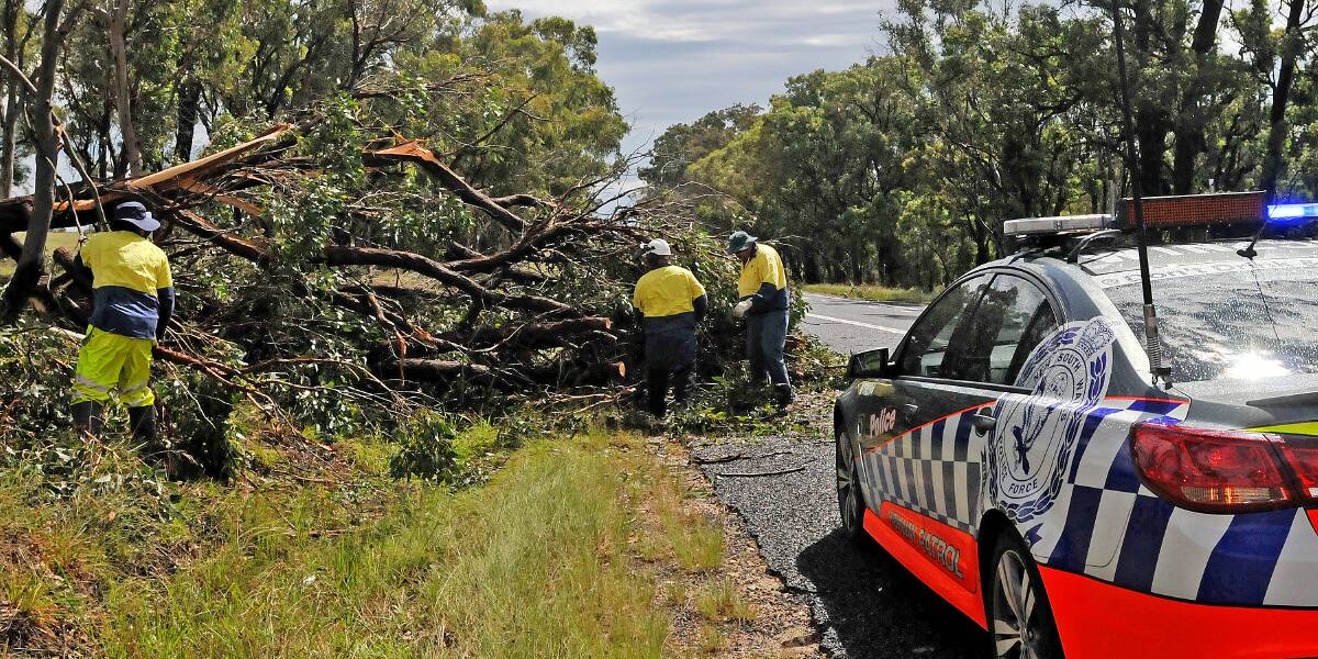WET AND WILD: Council workers and police work to clear a tree across the New England Highway south of Uralla. Photo: Geoff O’Neill 260115GOD03