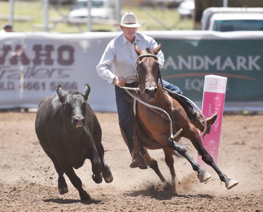 Brendan Fitzgerald and Snippet cut around the back of this steer at the Landmark Campdraft. Photo: Barry Smith 310116BSD12