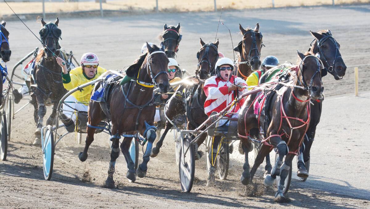 Bathurst trainer-driver Nathan Hurst (red and white diagonal stripes) urges The Matrix to a win in last Thursday’s Droughtbreaker Heat at Tamworth Paceway. They will return tomorrow week for the Droughtbreaker Final. Photo: Barry Smith  210416BSE36