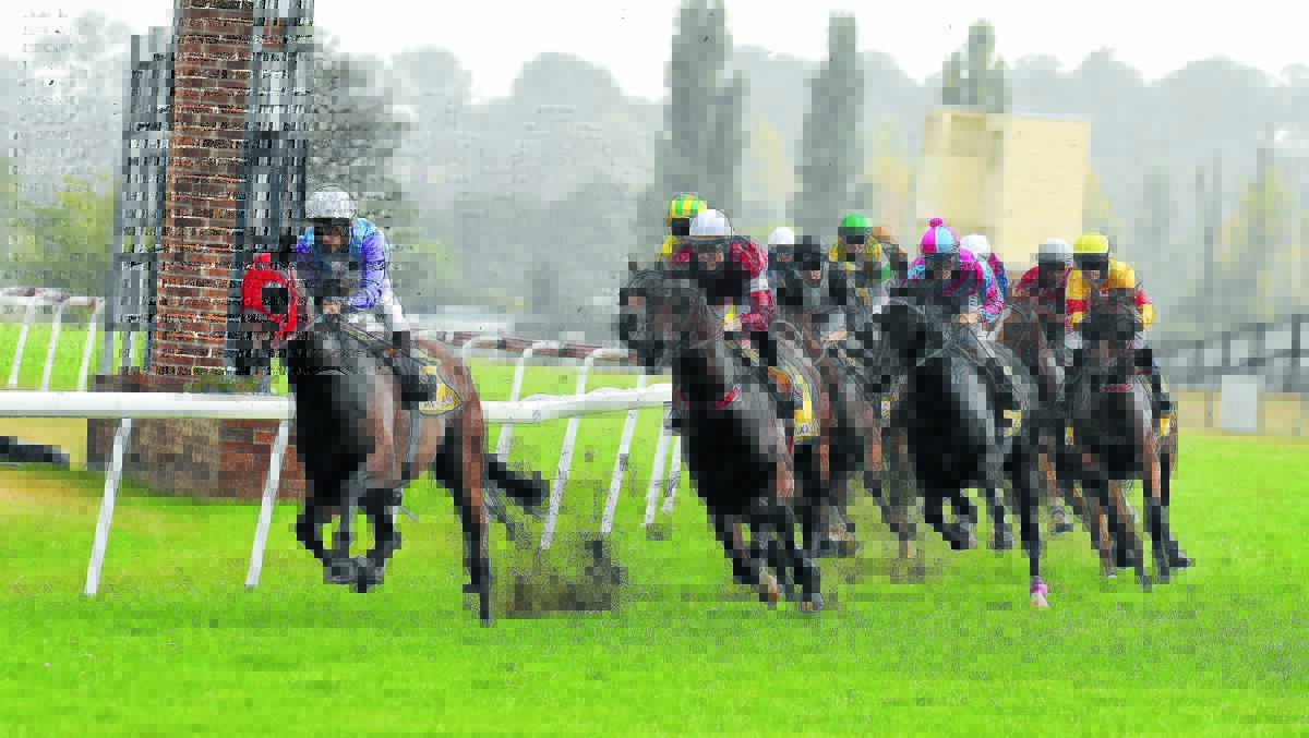 Malleable leads the Armidale Cup field into the straight on Monday. Eventual winner, Hunter Jack, is obscured on the rails in the green and hyellow cap behind the leading pair. Photo  courtesy of pixonline.com.au