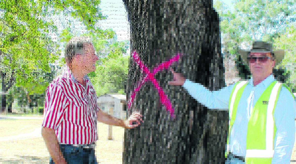LIVING MEMORIAL: David McKinnon and Brian Sheedy with one of the oaks.