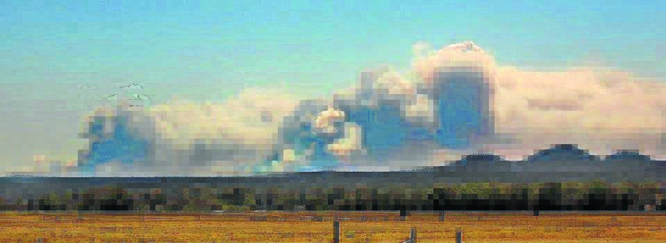 SMOKE CLOUD: The bushfire could be seen from more than 100 kilometres away. Photo: Catriona Pascoe