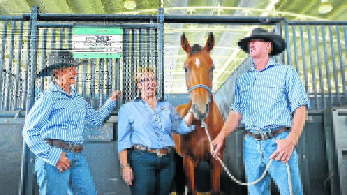 SOLD: The sale of Bulla Ava at the Landmark Classic Sale on Friday meant so much to Kelly Foran, centre, and her foundation. She’s pictured with Toni and Peter O’Neill who manage the Ruff family’s Queensland property. Photo: Barry Smith 050216BSH04
