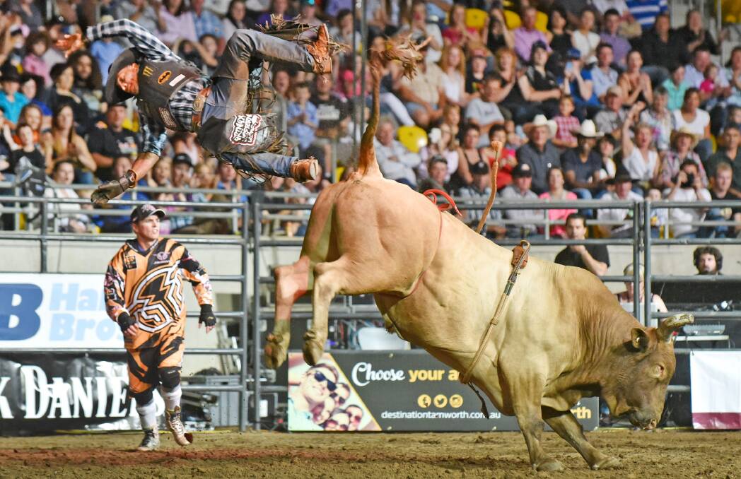 HIGH FLYER: Brazilian cowboy Cristiano Cunha flies to victory off Boom Box at Saturday night’s PBR. Photo: Barry Smith 071115BSE127