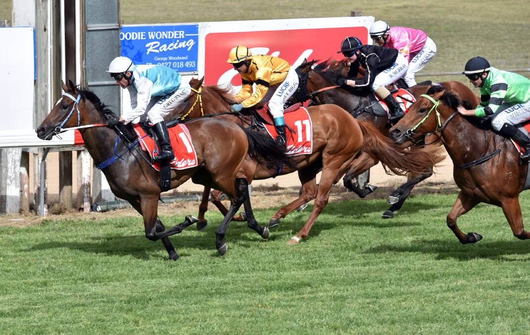 Stop Short and Greg Ryan finish strongly to win yesterday’s Ron Martin Memorial Maiden.  Photo: Geoff O’Neill 050216GOE01