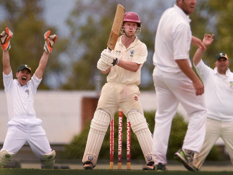 Toronto Workers’ Nathan Hudson survives this shout from North Coastal keeper Adam Rogers on his way to an unbeaten 47 for Newcastle and their third win of the Northern Country Championship weekend in Gunnedah. Photo: Gareth Gardner 151115GGD03