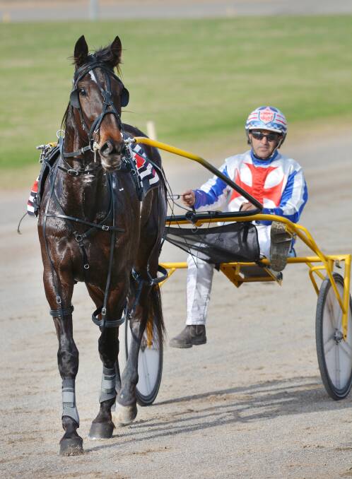 The Tamworth-owned Somemondosomewhere and Michael Formosa after setting a new Tamworth track record on Thursday.  Photo: Barry Smith 300715BSD04