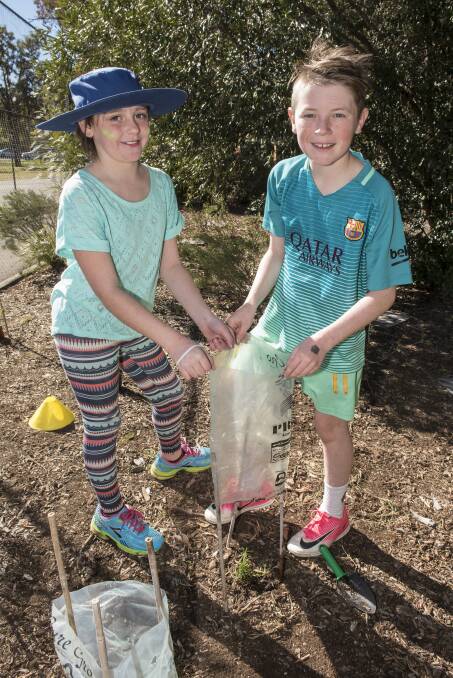 SCHOOL FUN: Tayla Hooper and Xander Emery enjoyed planting trees in the sun on Friday. 210717PHC52