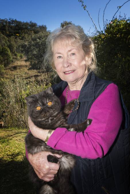 SHOW TIME: Maureen McNicoll with Richmoure Bubba are ready for the weekend's cat show at the Carinya school hall. Photo: Peter Hardin 