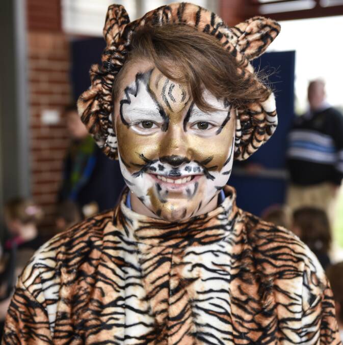 EYE OF THE TIGER: Lachlan Humphries was dressed to impress as The Tiger Who Came to Tea for the occasion. 240816PHB50