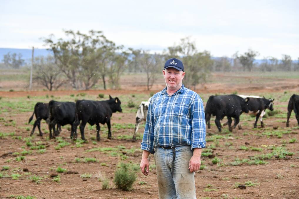 Bingara's Ben Mack has 650 young cattle on feed as an alternative turnover option. Despite missing rain to feed for longer, the gamble will pay off thanks to a firing market. 