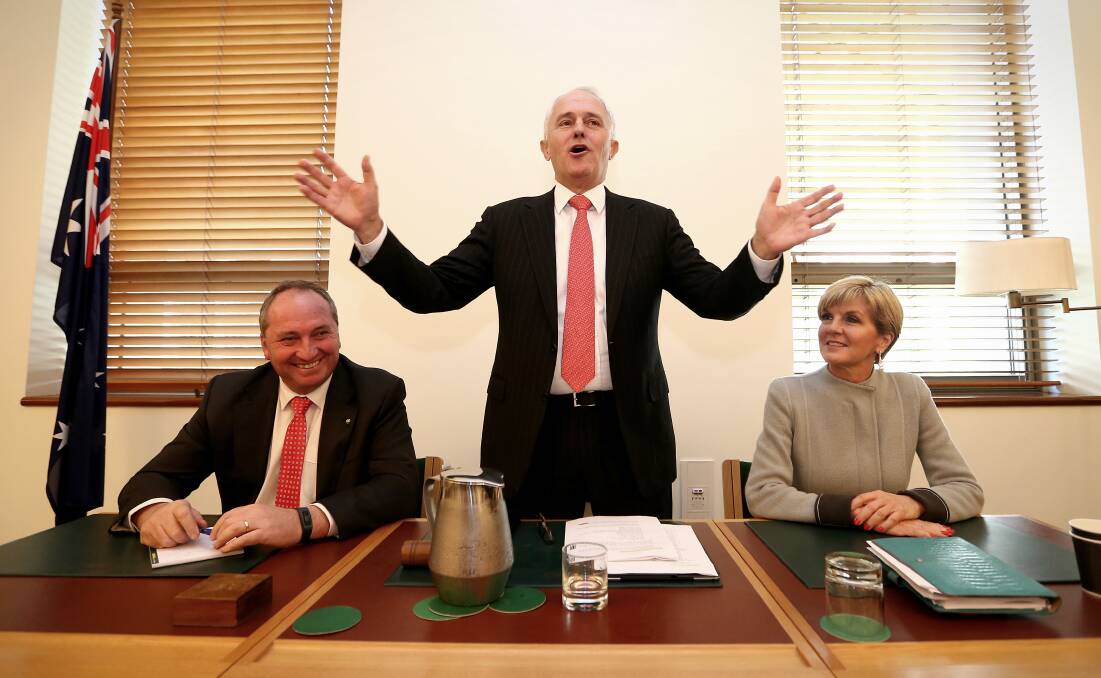 Exciting plan: Barnaby Joyce, Malcolm Turnbull and Julie Bishop during a joint party room meeting in Parliament House this month.
