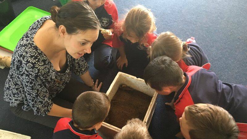 What's in the box? Carroll students get a close look at the world of worms.