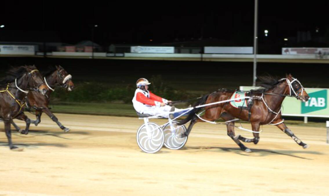In the running: Captain Rockey might have drawn barrier 10 but he has won four times in Maitland and is a real chance in tonight's Maitland Inner City Pace. Photo: Robynne Metcalfe.