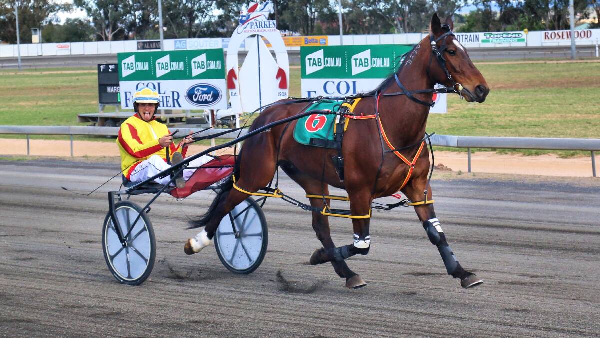 CHEEKY: Menangle reinsman and former jockey Jack Wade shows his relief after driving Onthestraitenarrow to a win at Parkes last Sunday. Photo: Coffee Photography Dubbo.