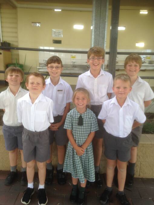 Willow Tree's students of merit, back, Zac Gallagher, Josh Curmi, Ned Swain & Stirling Gallagher, front, Blake Thompson, Chelsea Symonds and Dylan Tritten.
