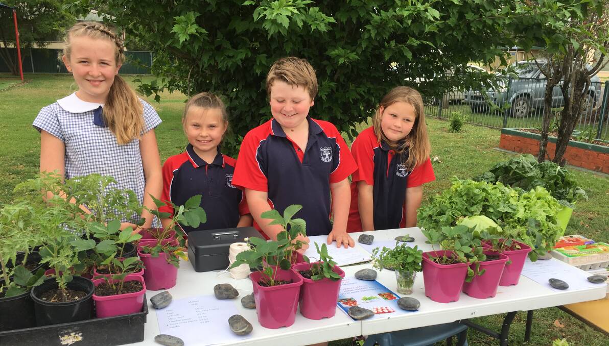 Carroll's Breeana Ward, Taleigha Elphick, Matthew Williams, Grace Elphick (children selling our school grown veggies and herbs at our market stall).