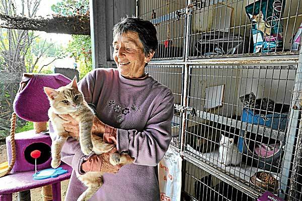 REFUGE REFUGEE: Jean Medlock has a few pets to rehouse before she can shut the doors of her rescue home. Photo: Barry Smith 280612BSA04 