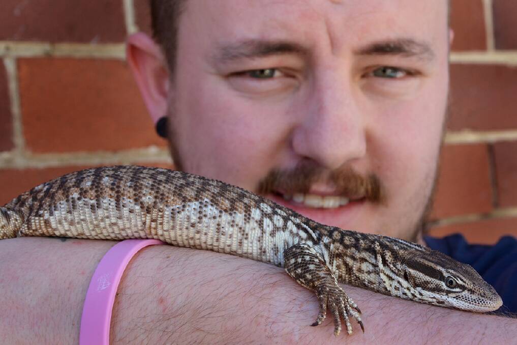 BUILT TO SCALE: Tamworth man Josh Ryan with his pet ridge-tailed monitor, one of 10 reptiles he keeps at home. Photo: Barry Smith 271113BSG02 
