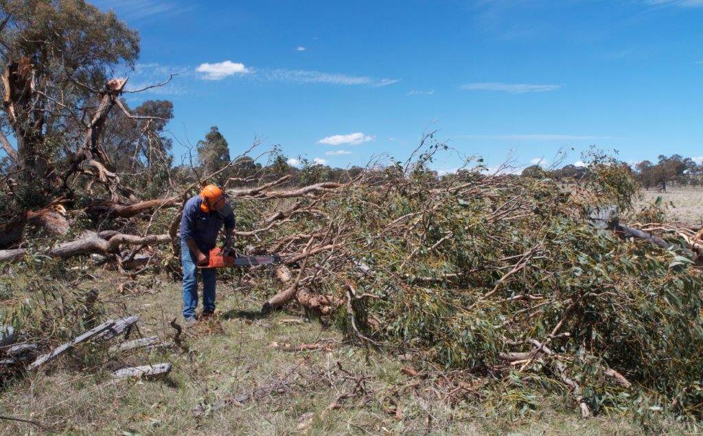 CLEAN UP: The aftermath of the freak tornado that hit the Guyra late in November. Photo: Andrew Spink 