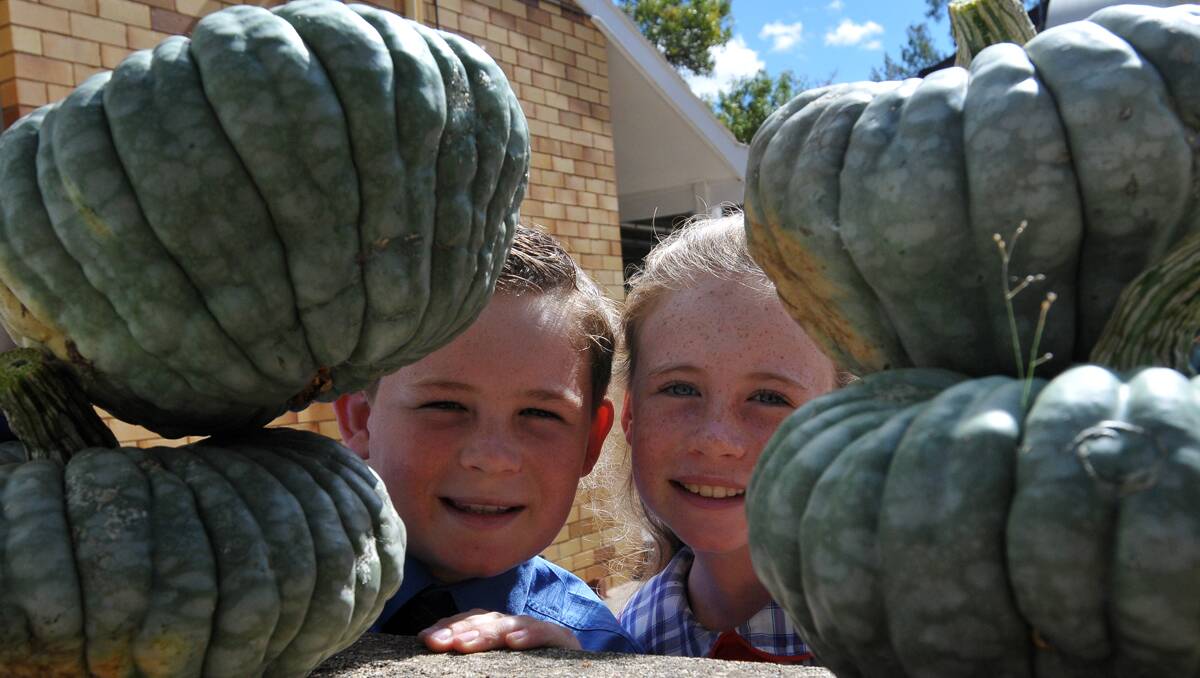 PURPLE PUMPKIN EATERS: Schoolkids Conrad and Laura George are getting ready for the pumpkin  festival this weekend. Photo: Geoff O’Neill 1204GOA01