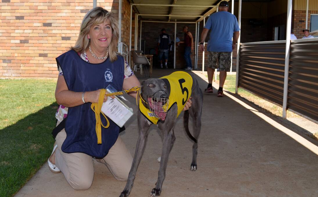 Ros Evans and Yo Cool Maxie after Saturday’s fifth successive win. Photos: Christopher Bath 260114CB05