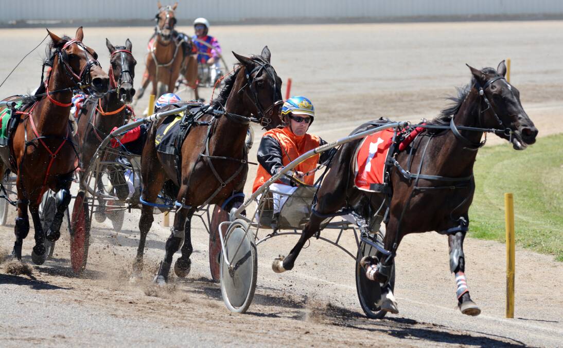 Peter Hedges and Modern Mistress lead into the short Tamworth straight before holding off their opposition for a good win on Thursday. Photo: Barry Smith 121213BSB08