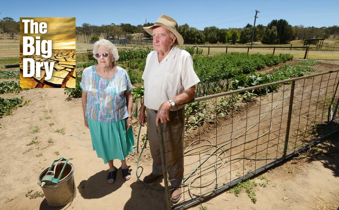 DRY TIMES: Gwen and Ken Brett, in their vegie patch at Bendemeer, have stopped watering from the town supply to their garden and have been using bore water.   Photo: Barry Smith 300114BSA03