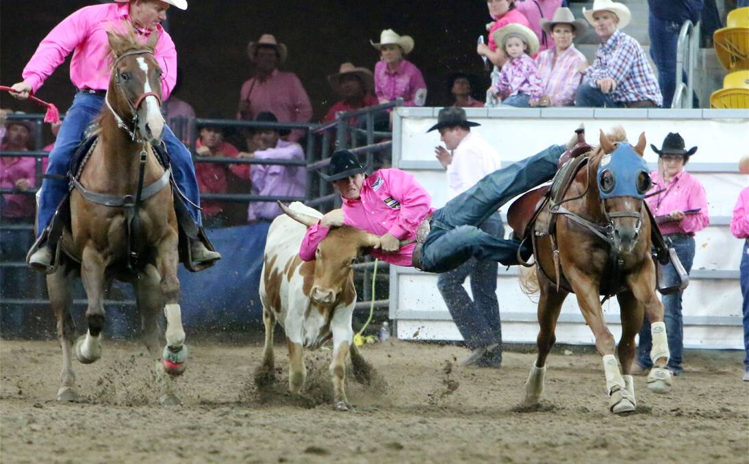 Heath Nichols wrestles this steer during last week’s National Finals. Nichols was crowned the allround cowboy for 2013. Photo: Frenchs Rodeo Photos
