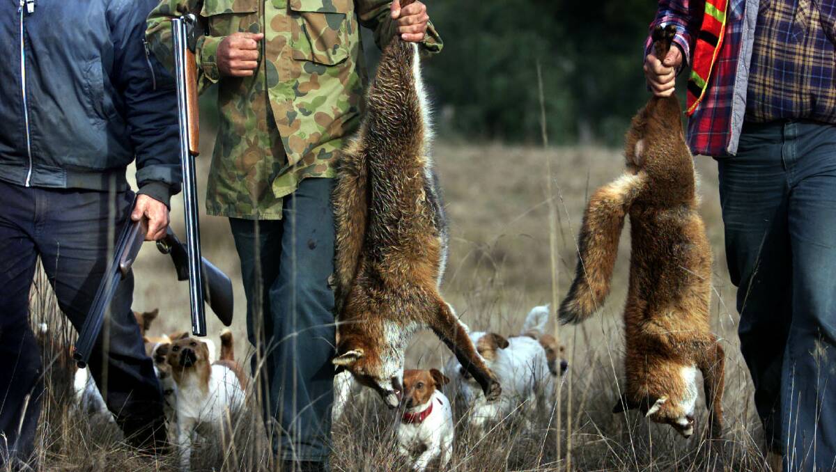 New laws have been passed allowing hunting in national parks, but will this put rangers and the public at risk? Photo: Fairfax