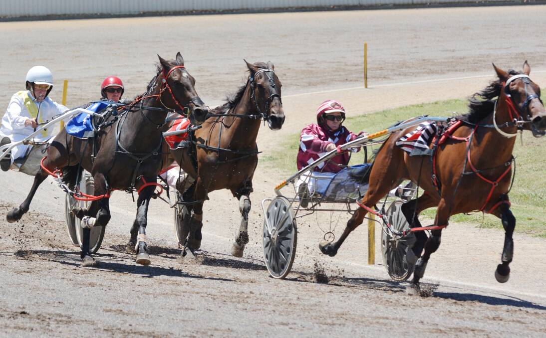  Dean Chapple and Lots Of Giggles skip away to a good win in the first race at Tamworth Paceway yesterday. Photo: Barry Smith 121213BSB03