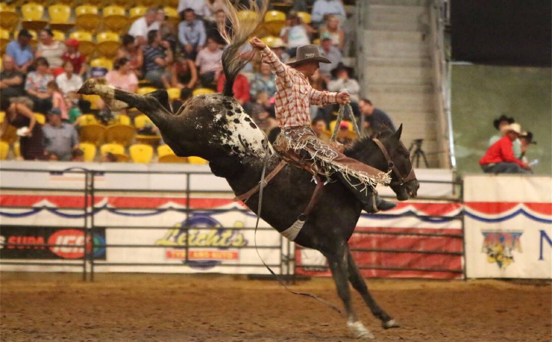 Carl Green hangs on during the Saddle Bronc at the AELEC on Wednesday night. Photo: French’s Rodeo Photos