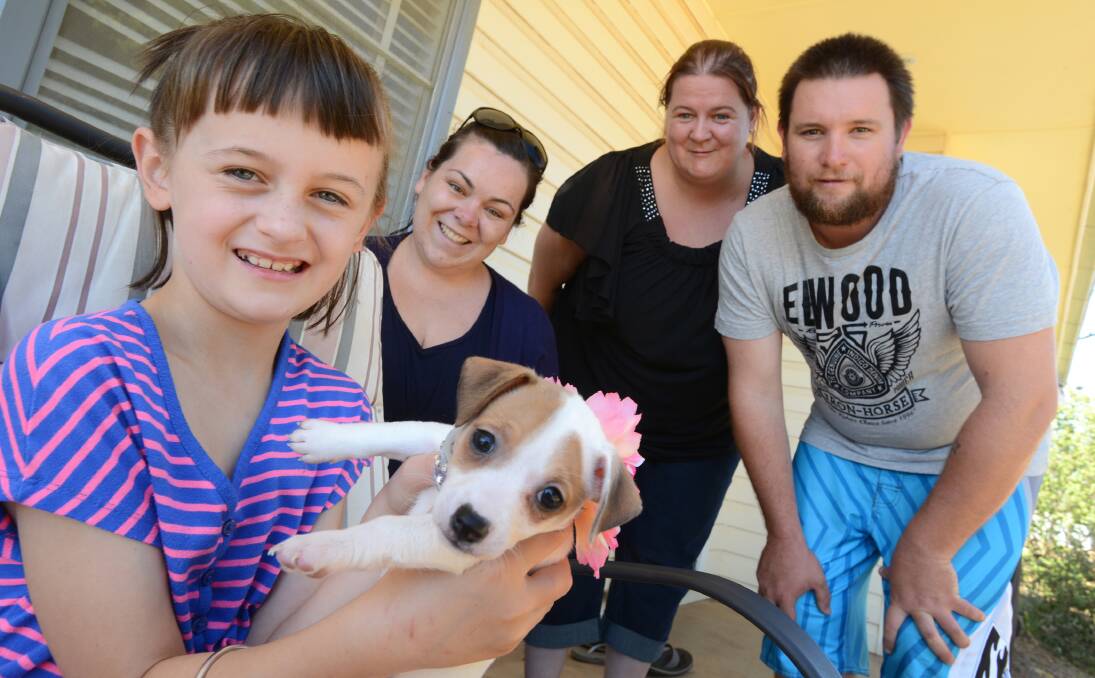 HAPPY ENDING: Paige Grew, 7, whose pet Jack Russell was killed in a vicious dog attack last year, is all smiles as she is presented with her new puppy, Rose. Meg Arnall (second from left) contacted Paige’s  parents, Kylie Richards and Chris Grew, to offer the dog after reading about the little girl's plight in The Leader. Photo: Barry Smith 010214BSA04