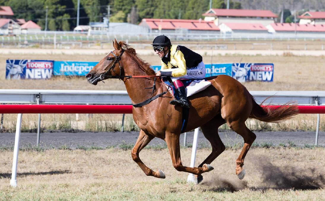 It was dust between Walcha Cup Prelude winner Jefferson Park and the rest of the field yesterday. Photo: Matt Bedford Photography