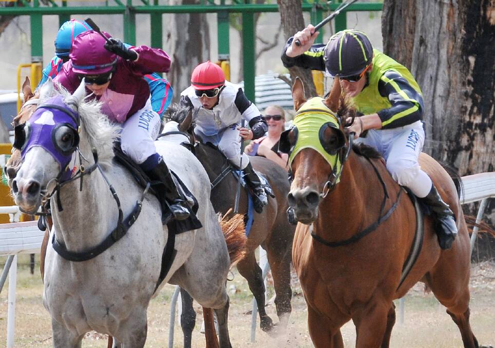 Honour Ron and Nicholas Perrett flash down the outside to run down Tarzan Toby and win the fourth race at Wallabadah on Wednesday in a photo finish. Photo: Gareth Gardner. 010114GGE07
