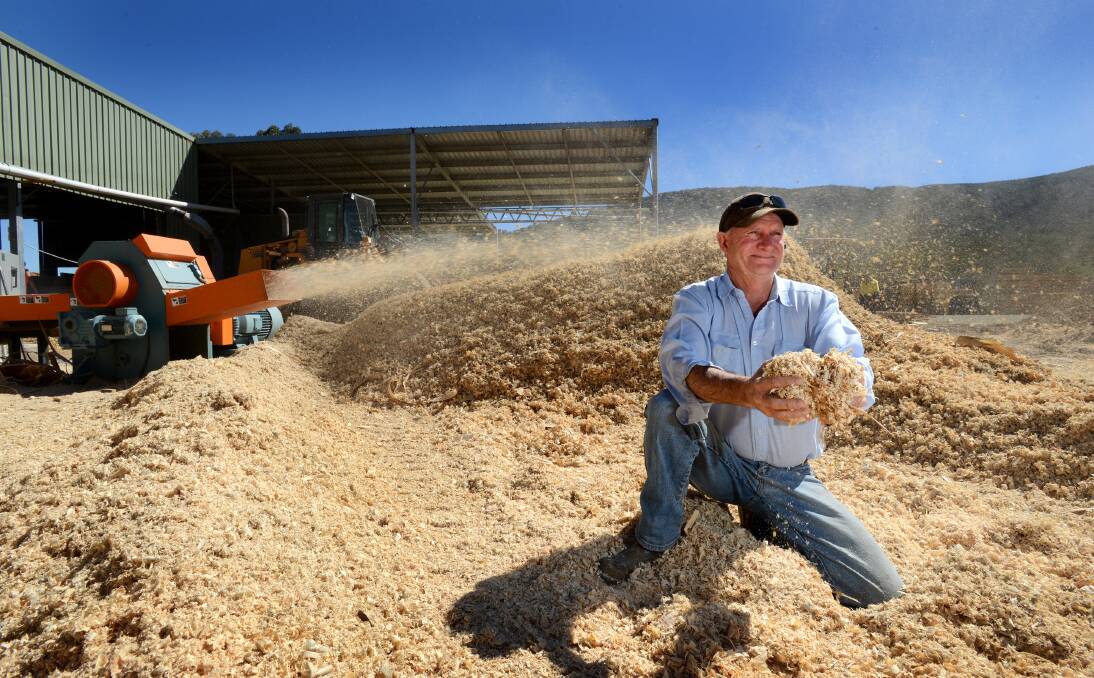 SUCCESS STORY: Nundle sawmill owner Wayne Simmons kneels in a mound of wood shavings at his timber yard. Mr Simmons has turned the business around since he stepped in  earlier this year. Photo: Barry Smith 031213BSA05