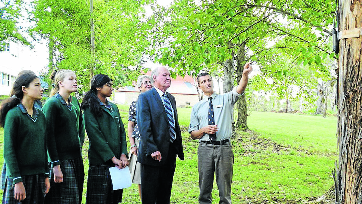 SMART TREE: From left, PLC Armidale students Jessica Tan, Georgina Cornall and Suhardi Karunaratne, head of school Debra Kelliher, New England MP Tony Windsor and special projects  co-ordinator David Moffitt examine a sensor that students are using to monitor sap flow and investigate how trees respond to their environment.