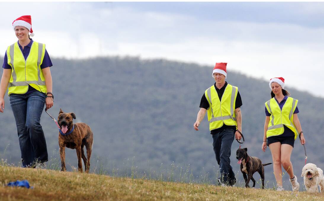 STRETCHING THEIR LEGS: Sandra Gericke, left, Justin Gundry and Emma Brown of Heaven Can Wait Animal Shelter get some fresh air and exercise with three of the pound dogs earlier this week. Photo: Gareth Gardner 231213GGA01