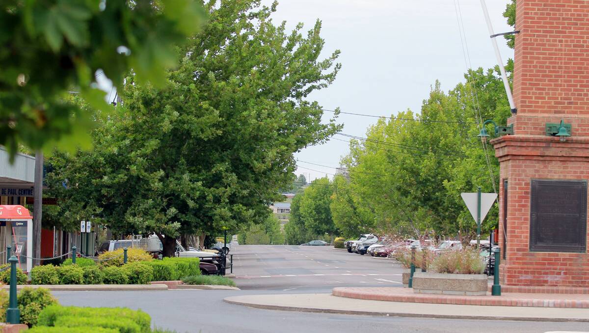 Council to decide future of Barraba’s plane trees