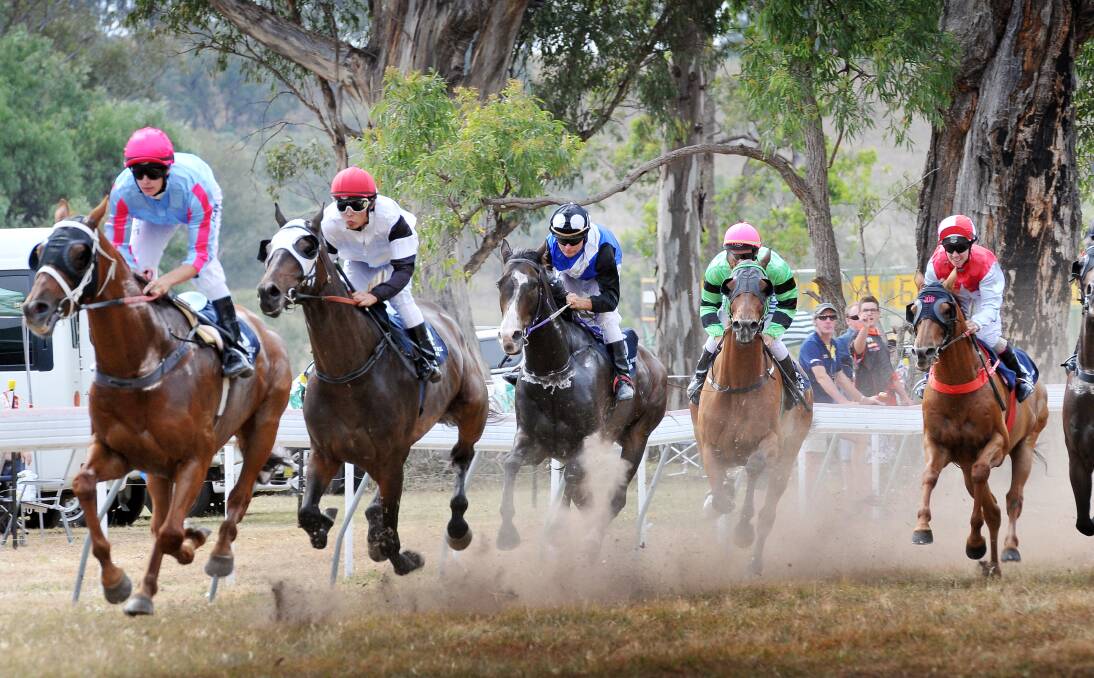The field passes the winning post for the first time in yesterday's Wallabadah Cup.  Subic Bay (Daniel Northey) leads out from eventual winner Stretch ridden by Chle Lee.  Photo: Gareth Gardner 010114GGE17