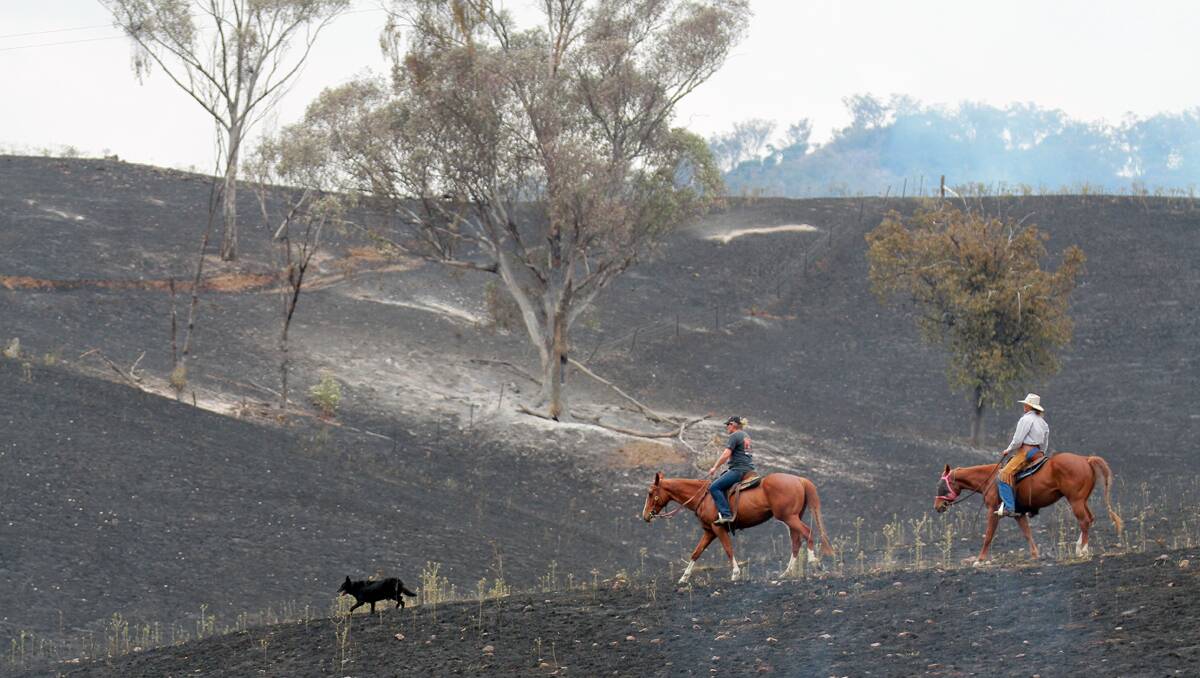 BURNT out: Kirsty Sullivan and Jillian Sullivan survey the damage to the Echo Hills countryside, after the fire swept through. Photo: Robert Chappel 231112RCA17