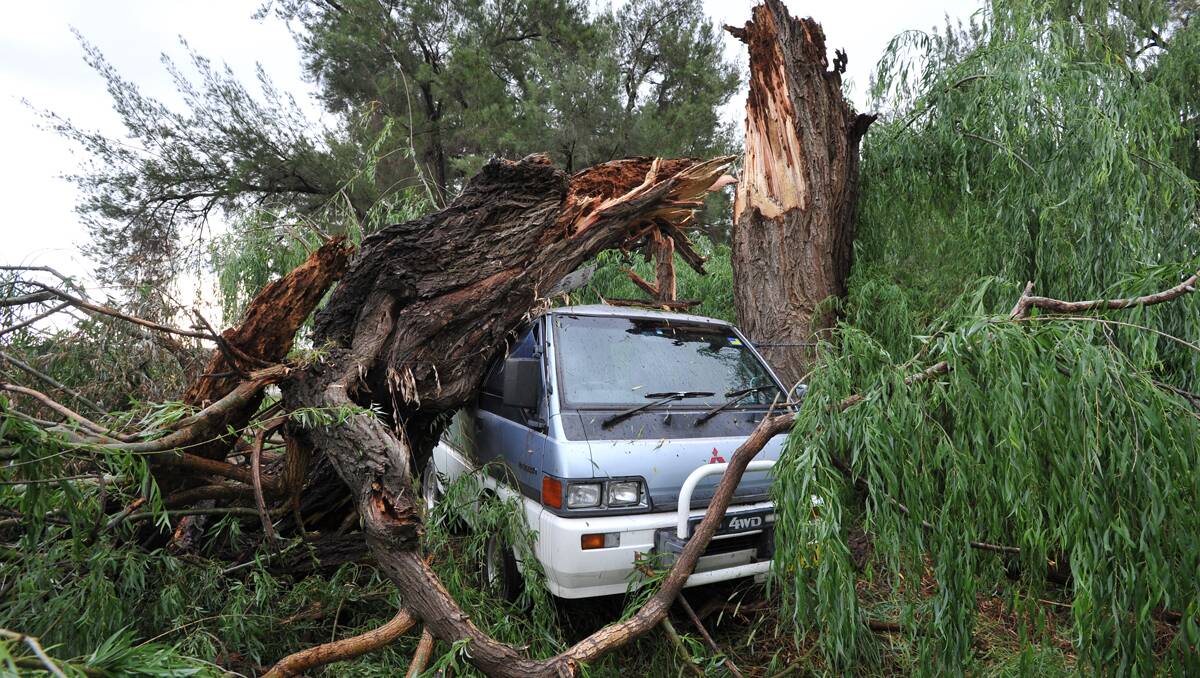 A van parked in Whitehouse Lane was crushed by a falling tree during the violent storm. Photo: Barry Smith