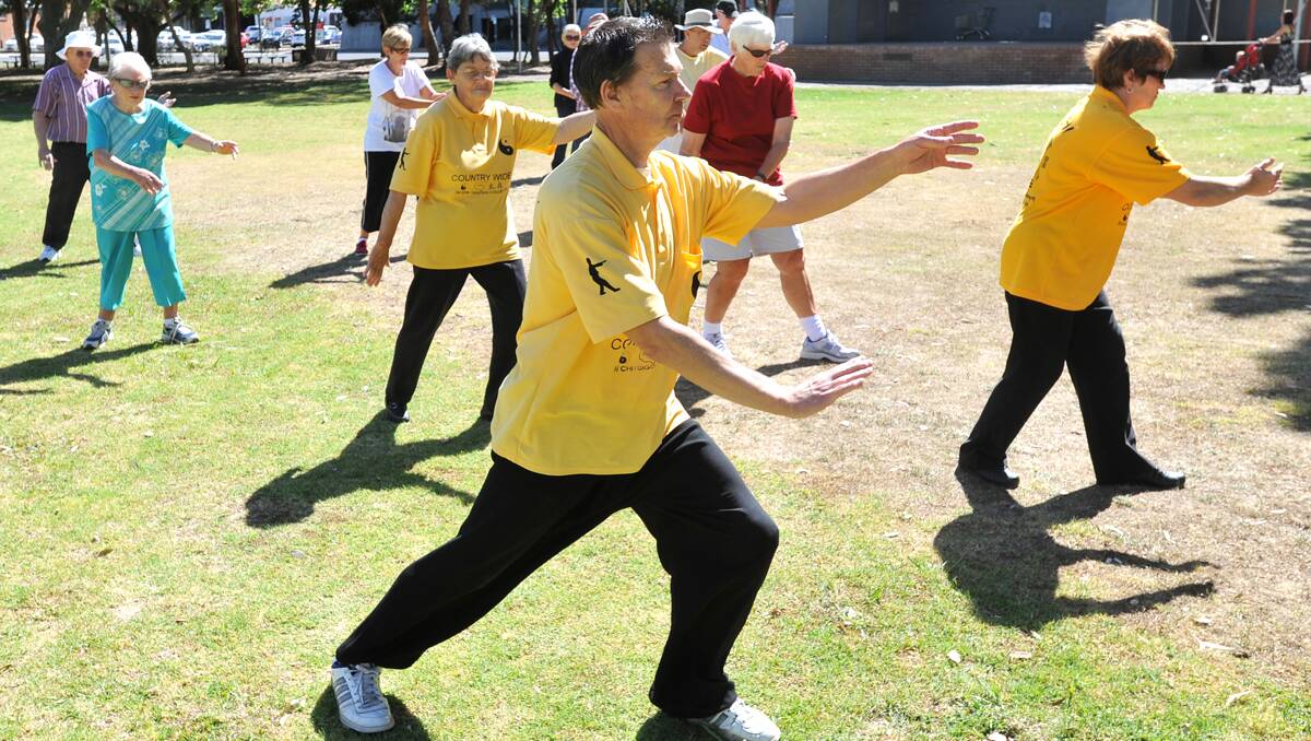 SLOW DE-STRESSING: Brian Gregson instructing the soft martial art of tai chi in Tamworth’s Bicentennial Park.  Photo: Barry Smith  271012BSC03
