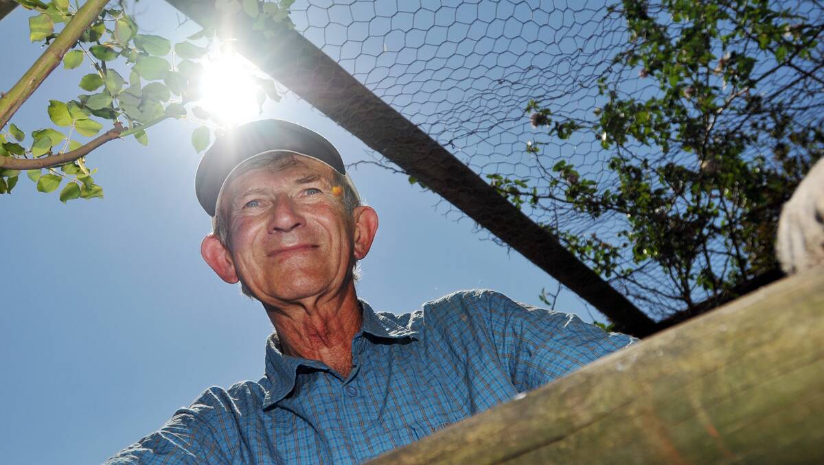 FARMING THE SUN: Manilla local John Tucker is hoping to get others on board for a community-owned solar farm in the town. Photo: Geoff O’Neill 101013GOE02