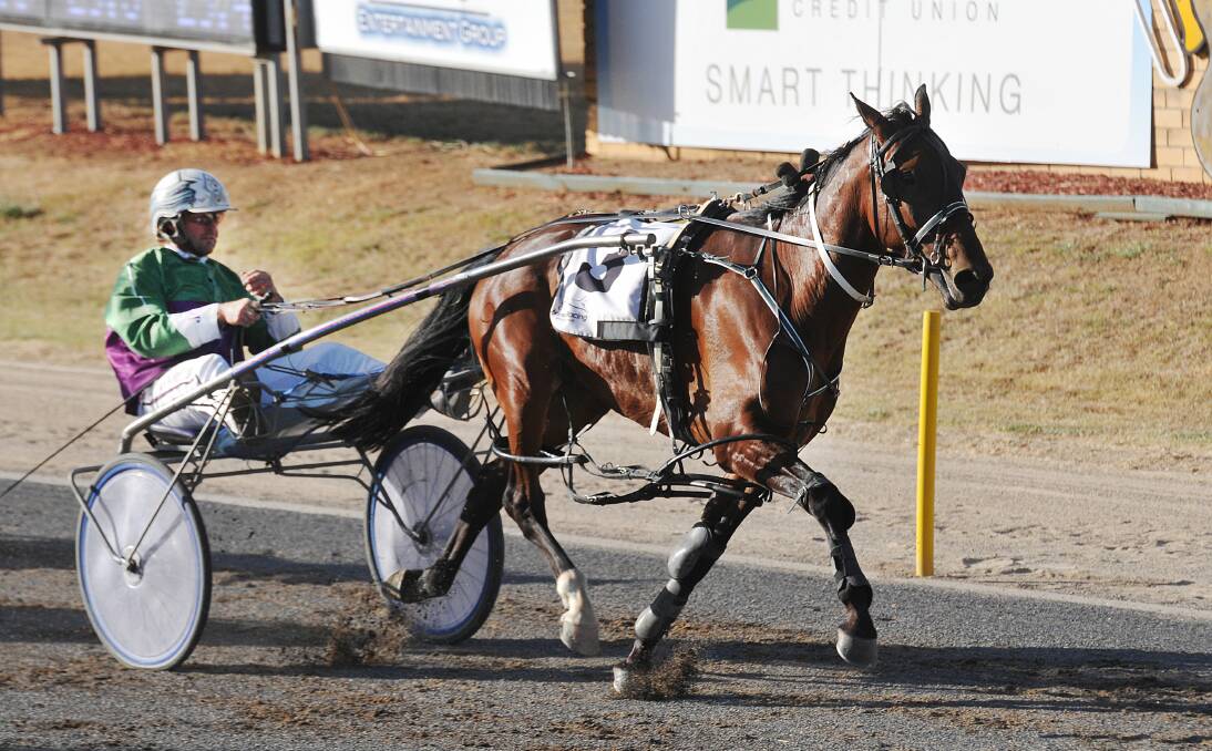 Jason Proctor and Just Read My Mind returned to Tamworth to win Wednesday’s first race. Photo: Geoff O’Neill 150114GOE01